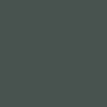 Color Swatch - S484 Solid Green